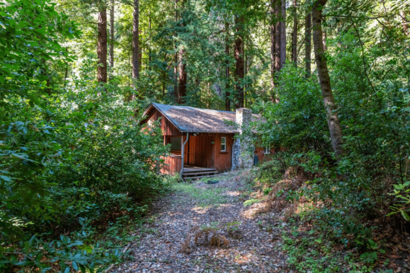 2372 McKenzie Creek Road, view 4