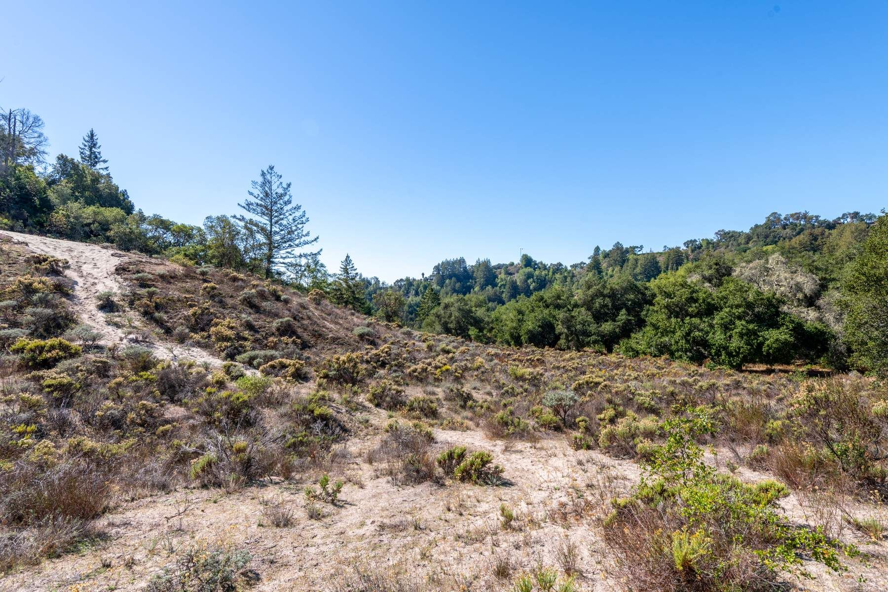 2372 McKenzie Creek Road, view 5