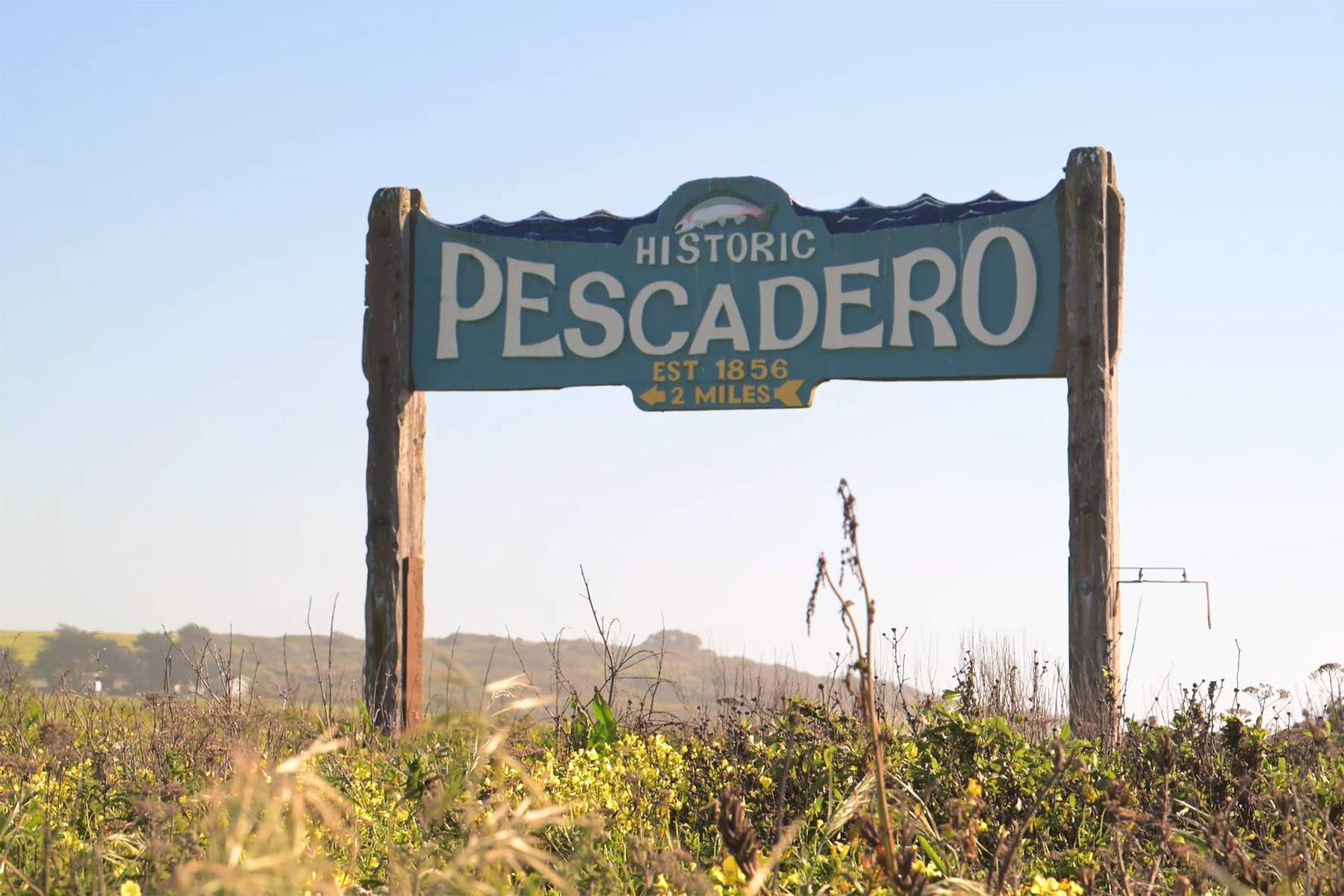 Pescadero Coastal Assemblage, view 2