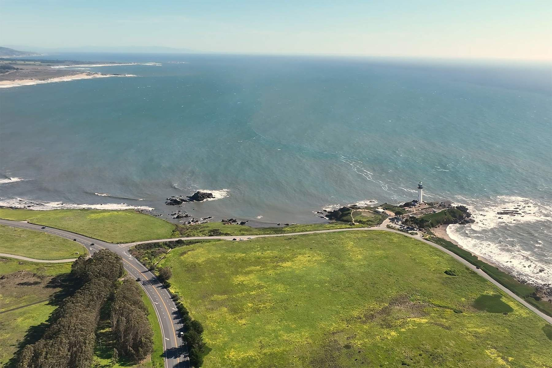 Pescadero Coastal Assemblage